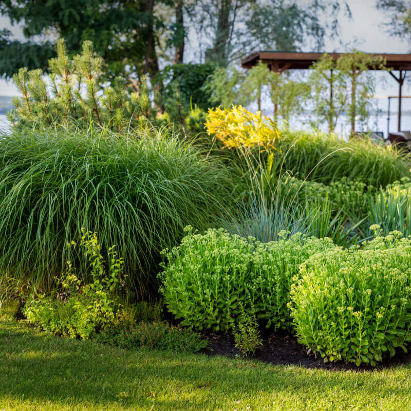 landscape-projects-36