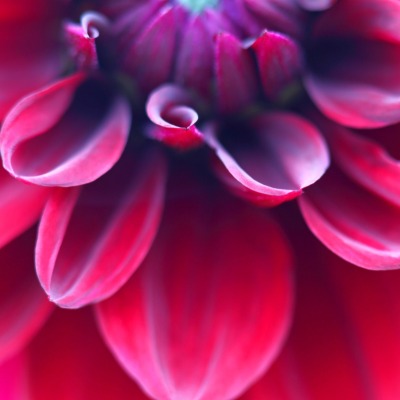spring-color-guide